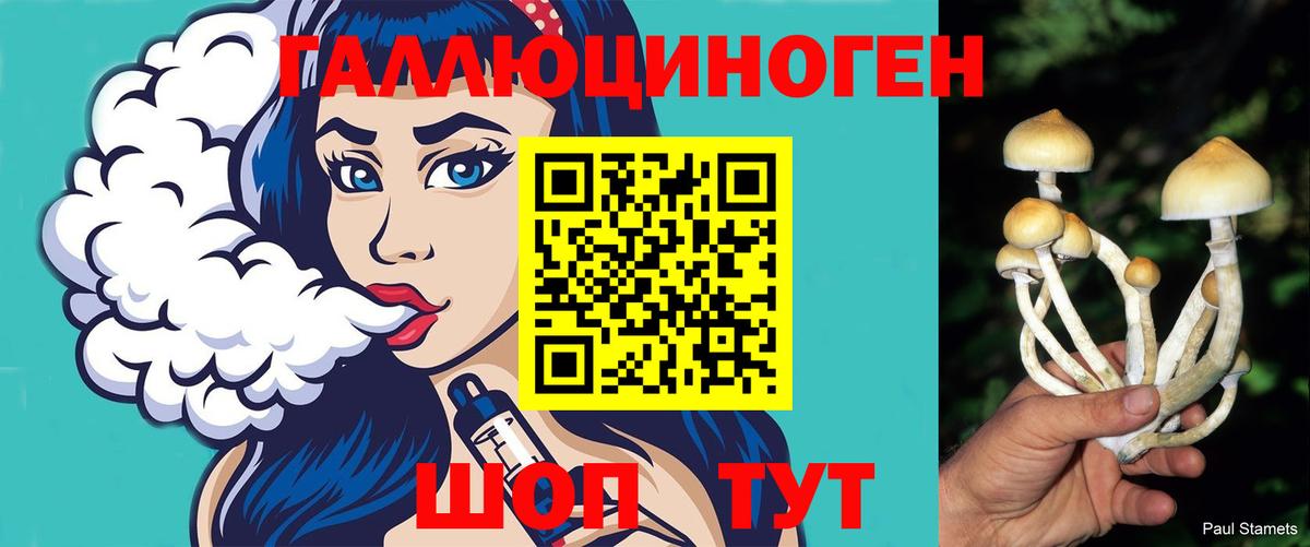 Псилоцибиновые грибы ЛСД Сибай